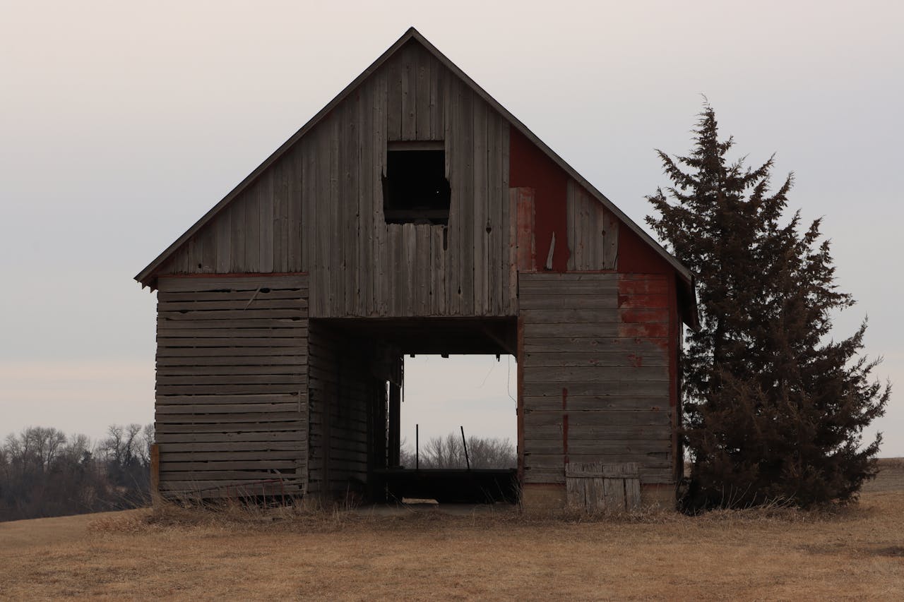 pexels-scott-platt-529822-11413917